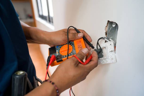 Best Electric Panel Repair  in South Pasadena, FL