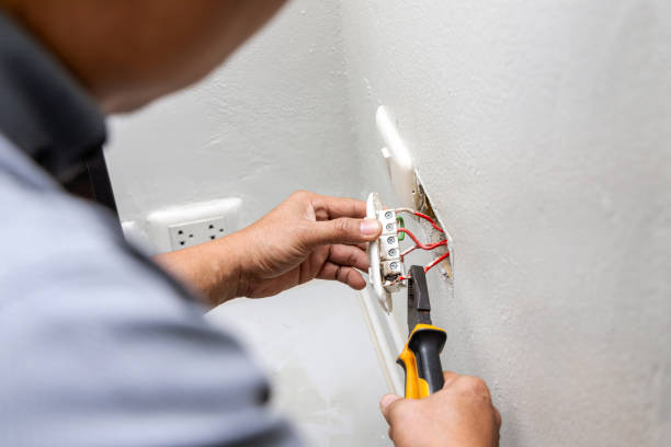 Best Residential Electrician Services  in South Pasadena, FL